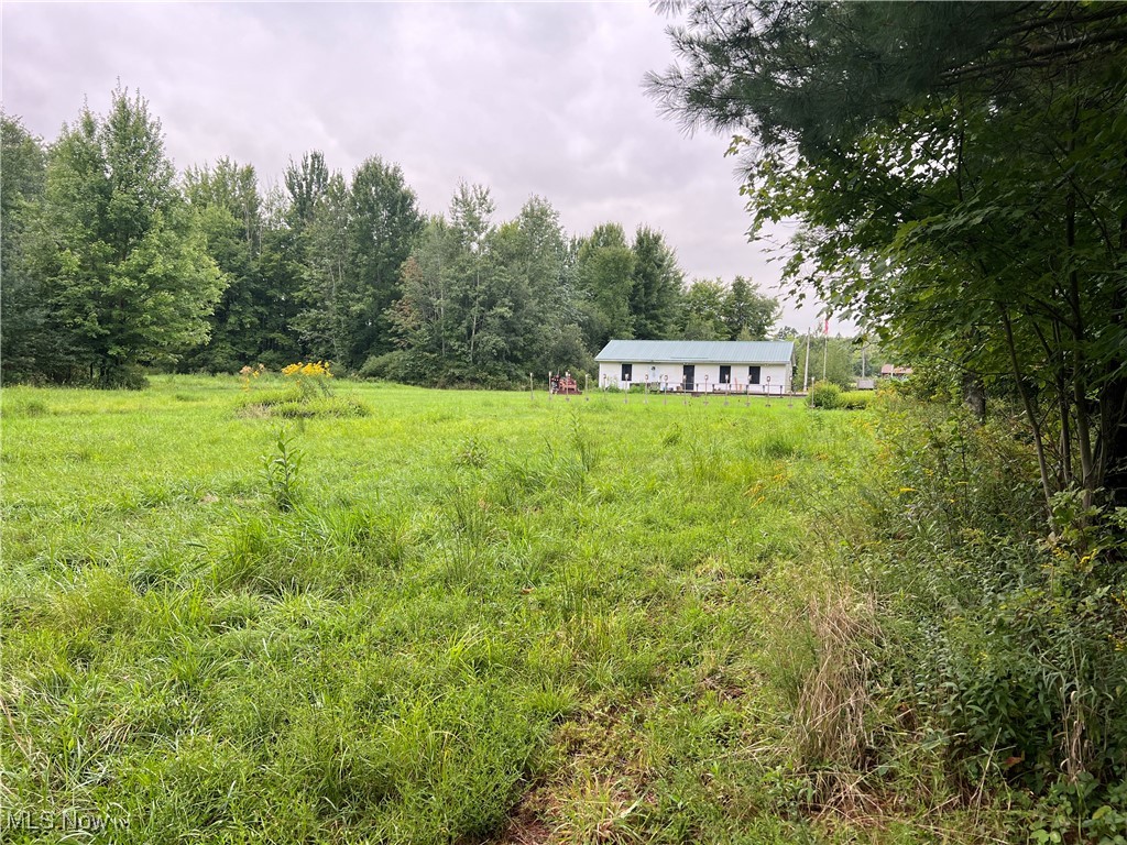 Hines Road Kingsville, OH 44048 - Photo 14 of 39 Gallery Image 14