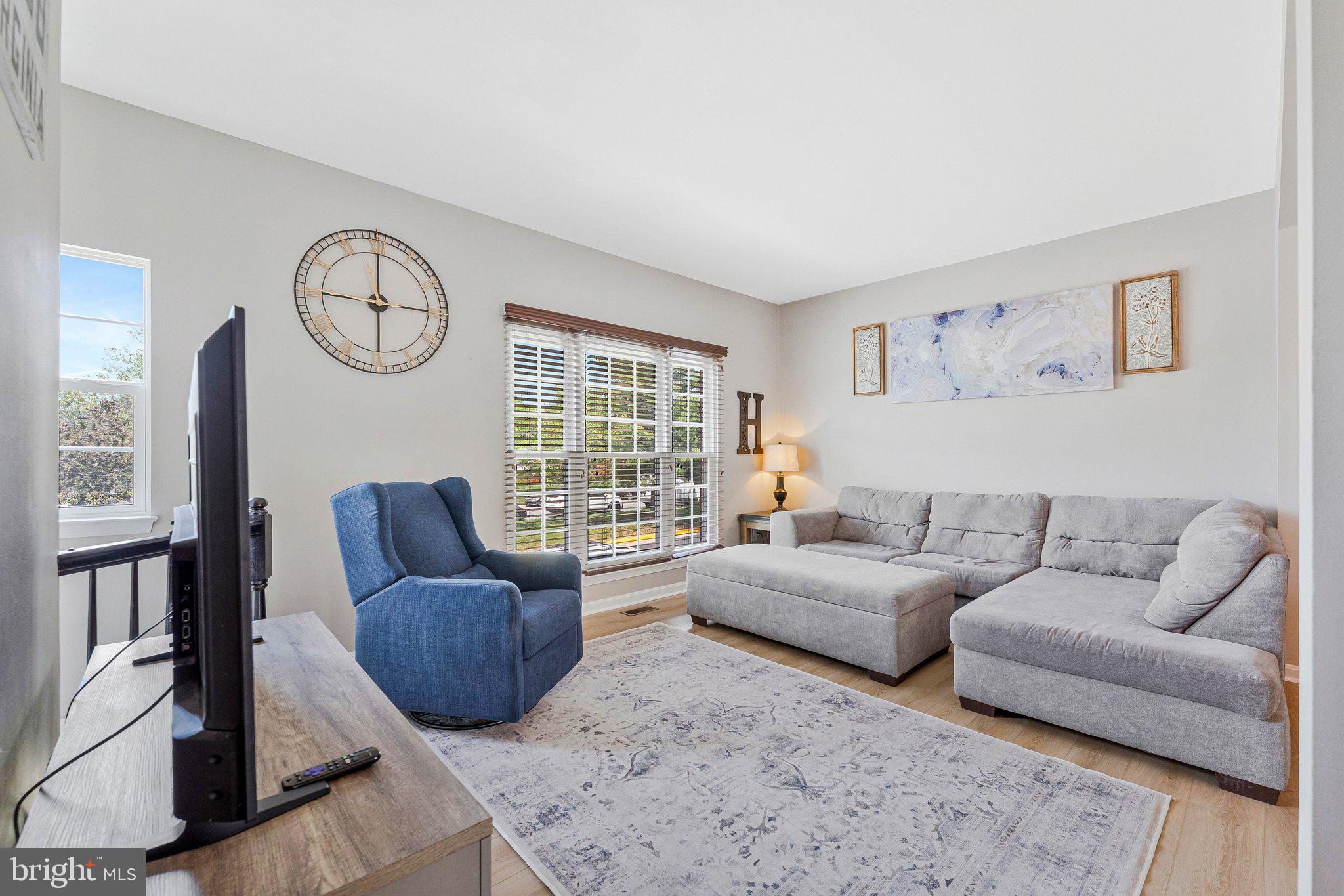 590 Tuliptree Square Northeast Leesburg, VA 20176 - Photo 12 of 54 a living room with furniture a rug potted plant and a window