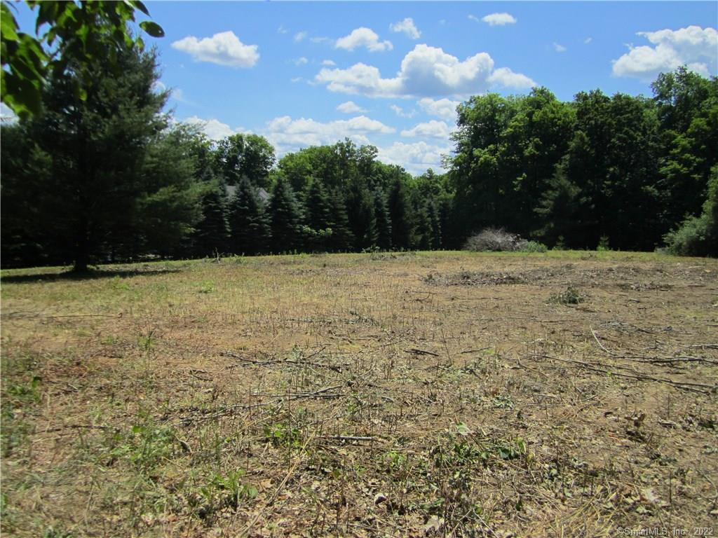 20 Mike Road Litchfield, CT 06759 - Photo 1 of 1 Cleared open meadow ready for your building plans
