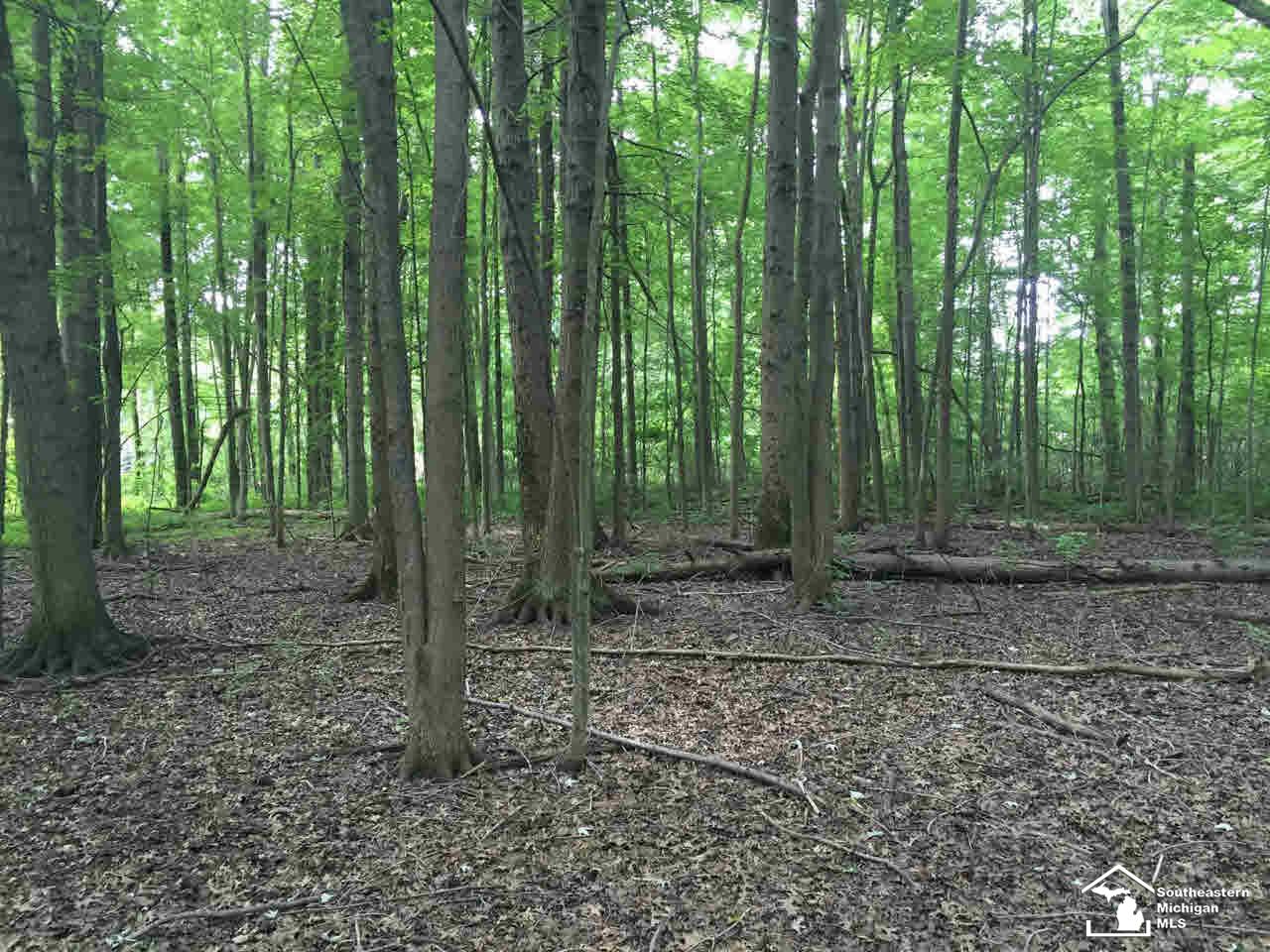 3600 Samaria Road Temperance, MI 48182 - Photo 12 of 41 21179291-11.JPG