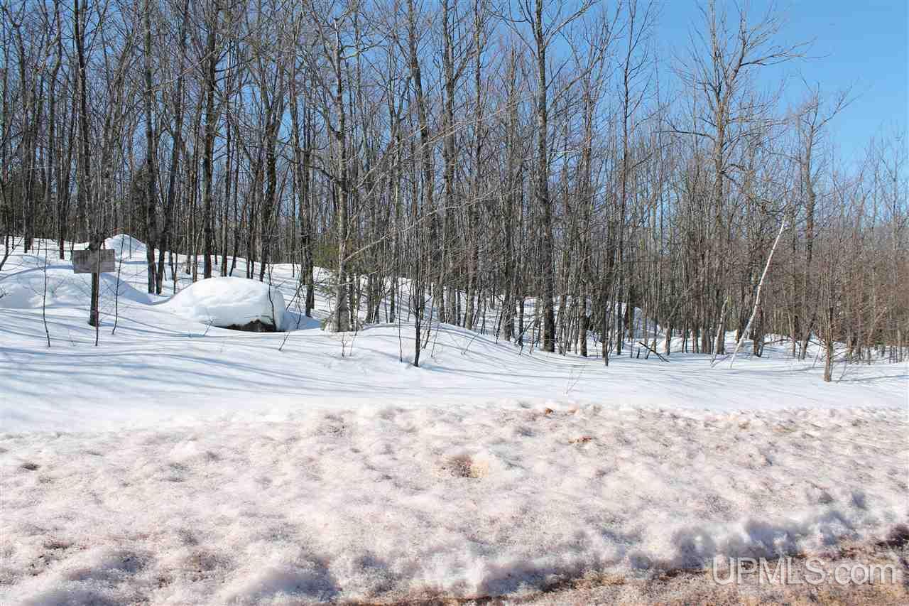Tbd Powderhorn Road Bessemer, MI 49938 - Photo 2 of 4