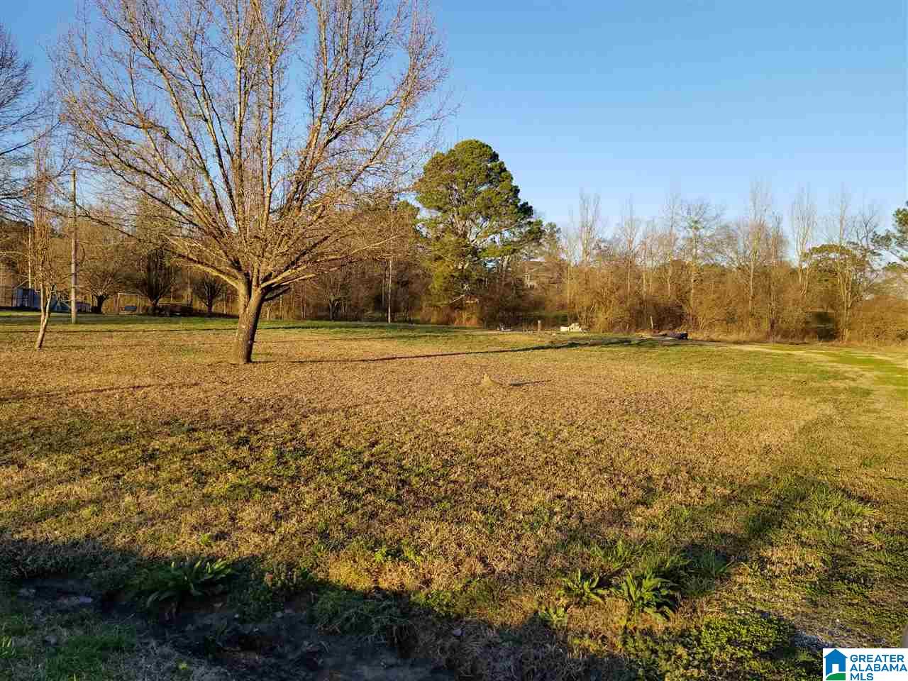 1244 Dove Welch Road Wellington, AL 36279 - Photo 1 of 5