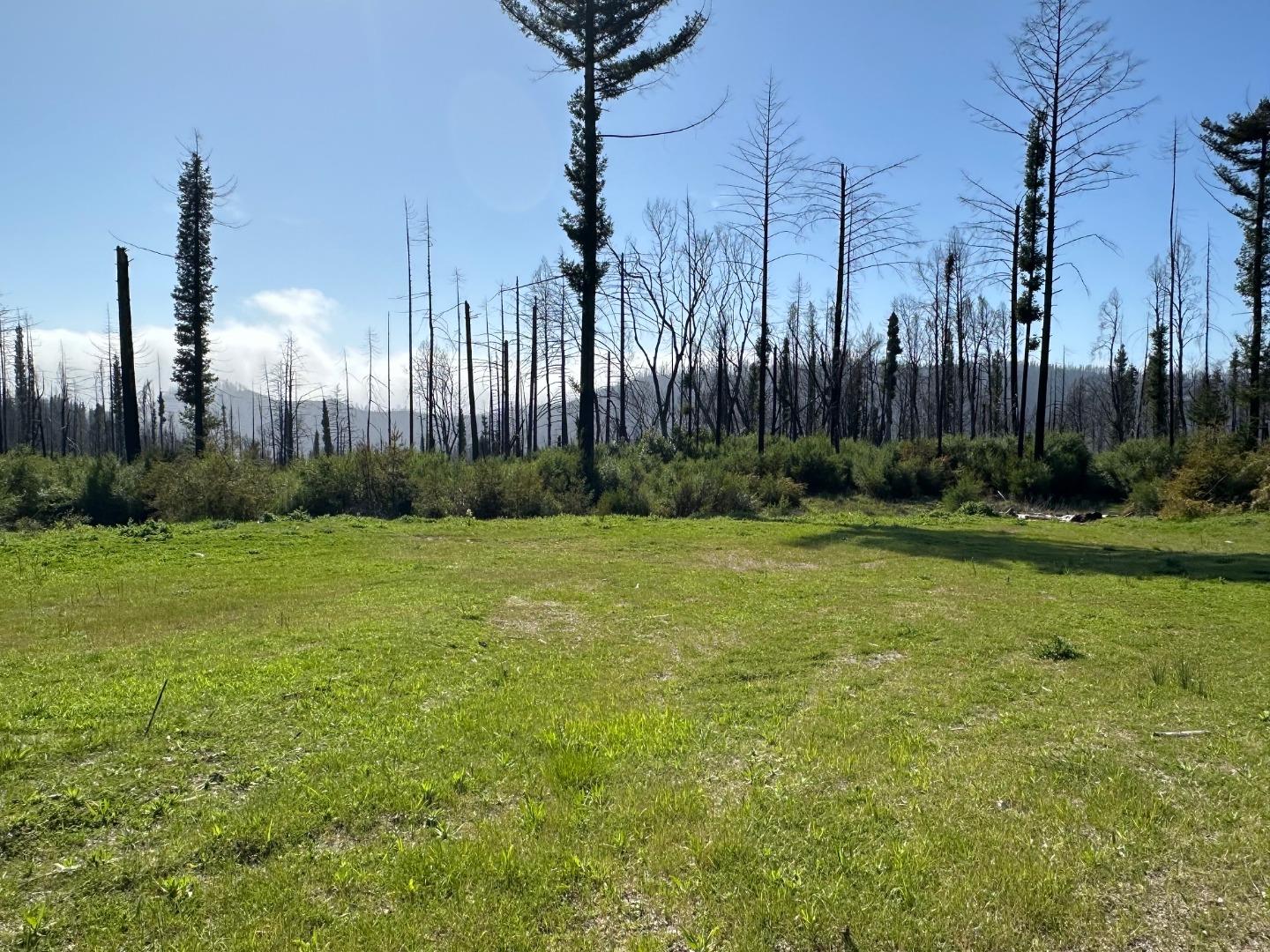 4605 Last Chance Road Davenport, CA 95017 - Photo 1 of 30 a view of a garden