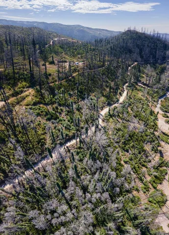 a view of a city with green field