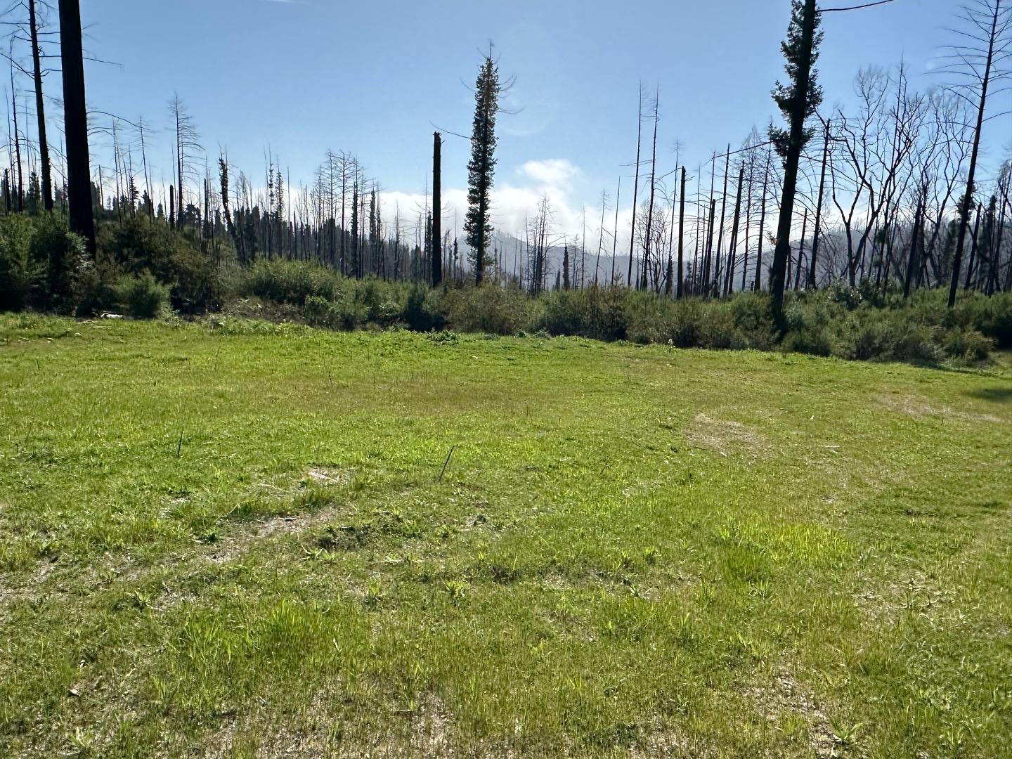 4605 Last Chance Road Davenport, CA 95017 - Photo 2 of 30 a view of a city