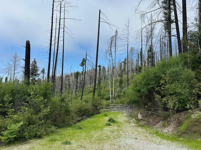 a view of a city with tall buildings