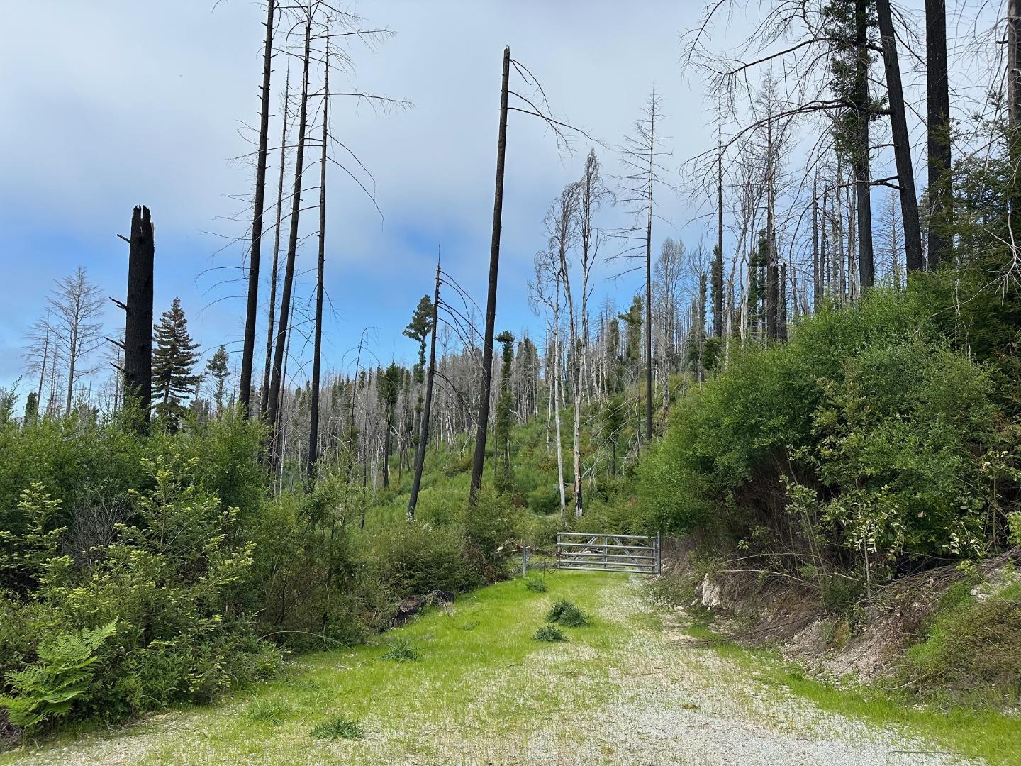 4605 Last Chance Road Davenport, CA 95017 - Photo 26 of 30 a view of a city with tall buildings