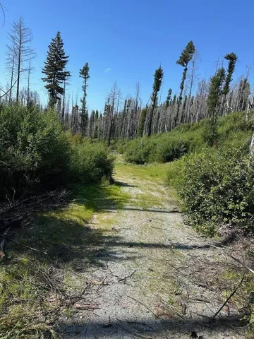 a view of a yard with an outdoor space