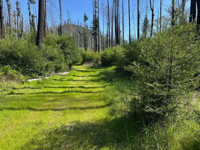 a view of a grassy area