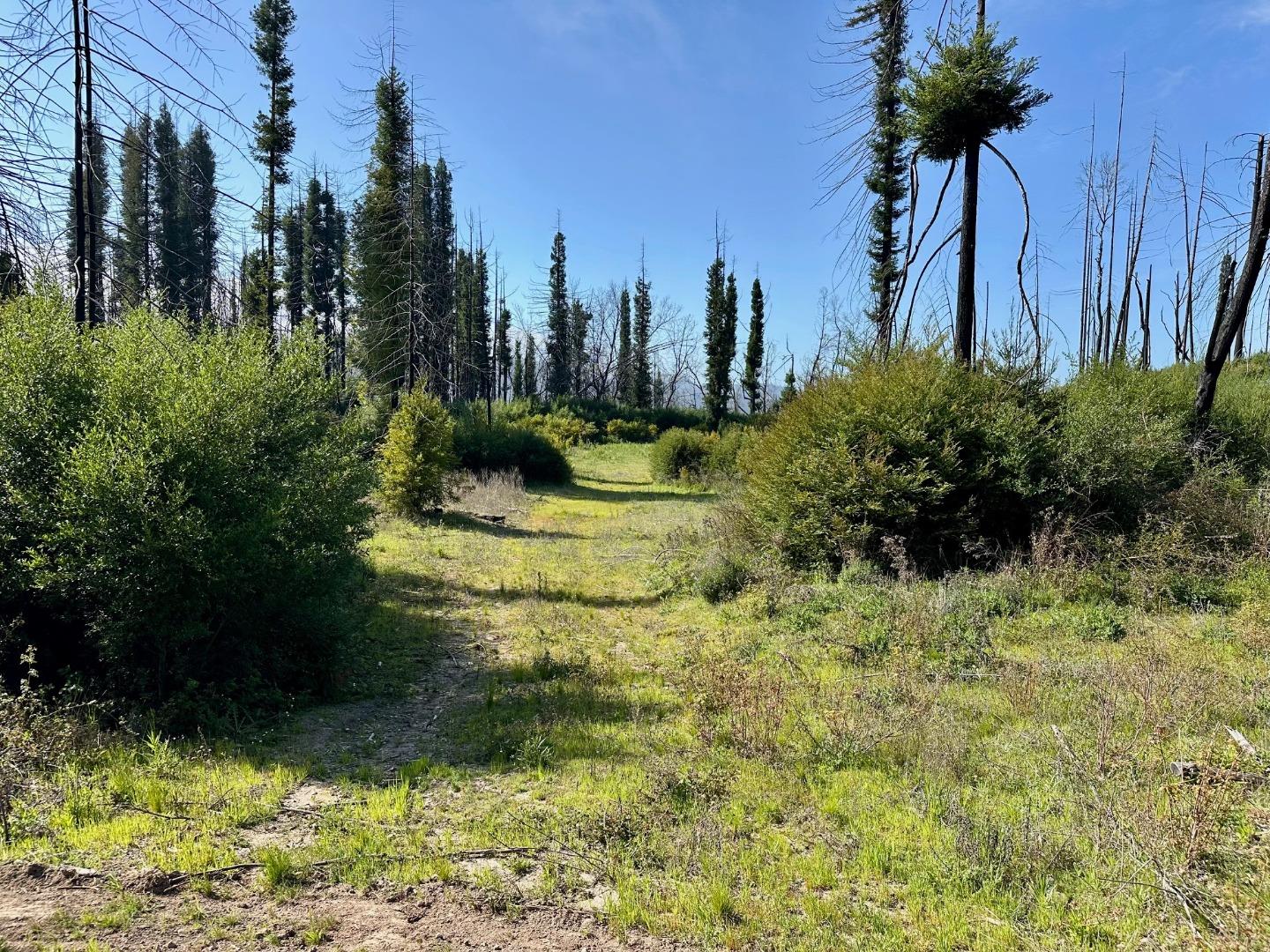 4605 Last Chance Road Davenport, CA 95017 - Photo 6 of 30 a view of a garden