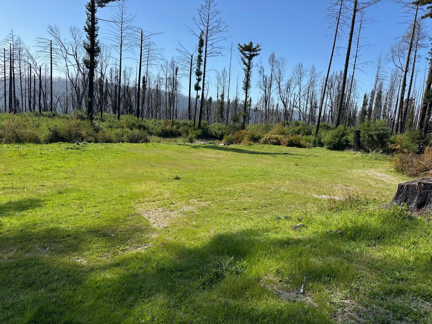 4605 Last Chance Road Davenport, CA 95017 - Photo 7 of 30 a view of outdoor space with trees