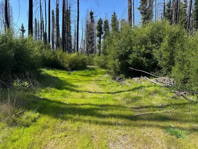 a backyard of a house with lots of green space and lake view