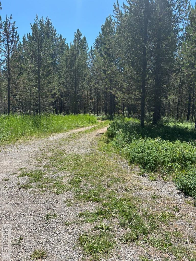 3789 Homestead Road Island Park, ID 83429 - Photo 21 of 33