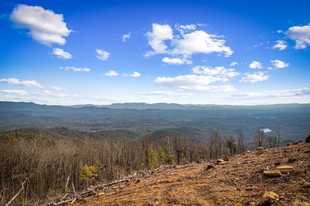 17 Pinhoti Trail Ellijay, GA 30540 - Photo 12 of 37