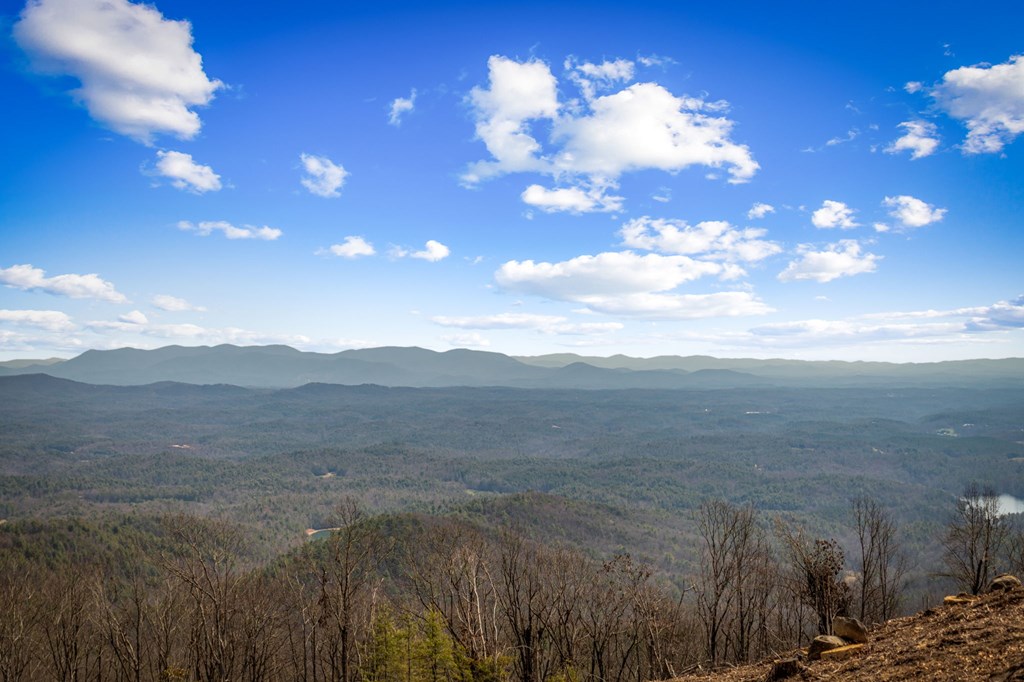 17 Pinhoti Trail Ellijay, GA 30540 - Photo 14 of 37