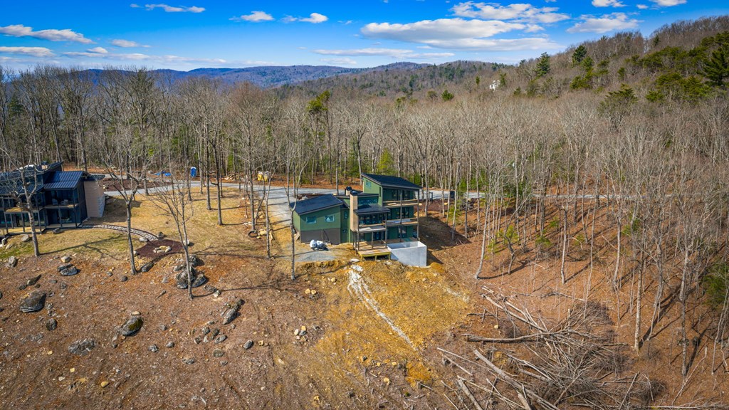 17 Pinhoti Trail Ellijay, GA 30540 - Photo 22 of 37