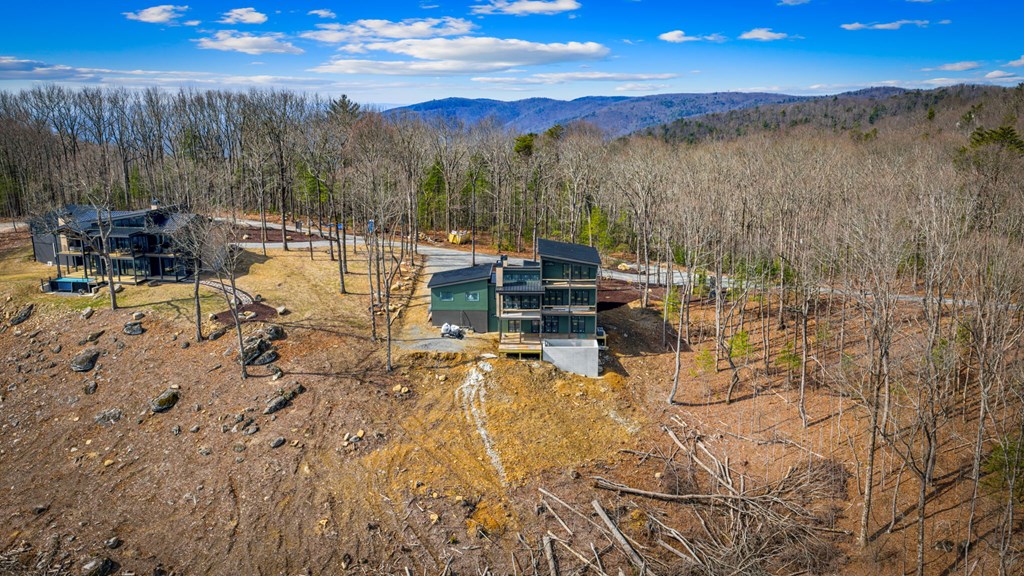 17 Pinhoti Trail Ellijay, GA 30540 - Photo 23 of 37