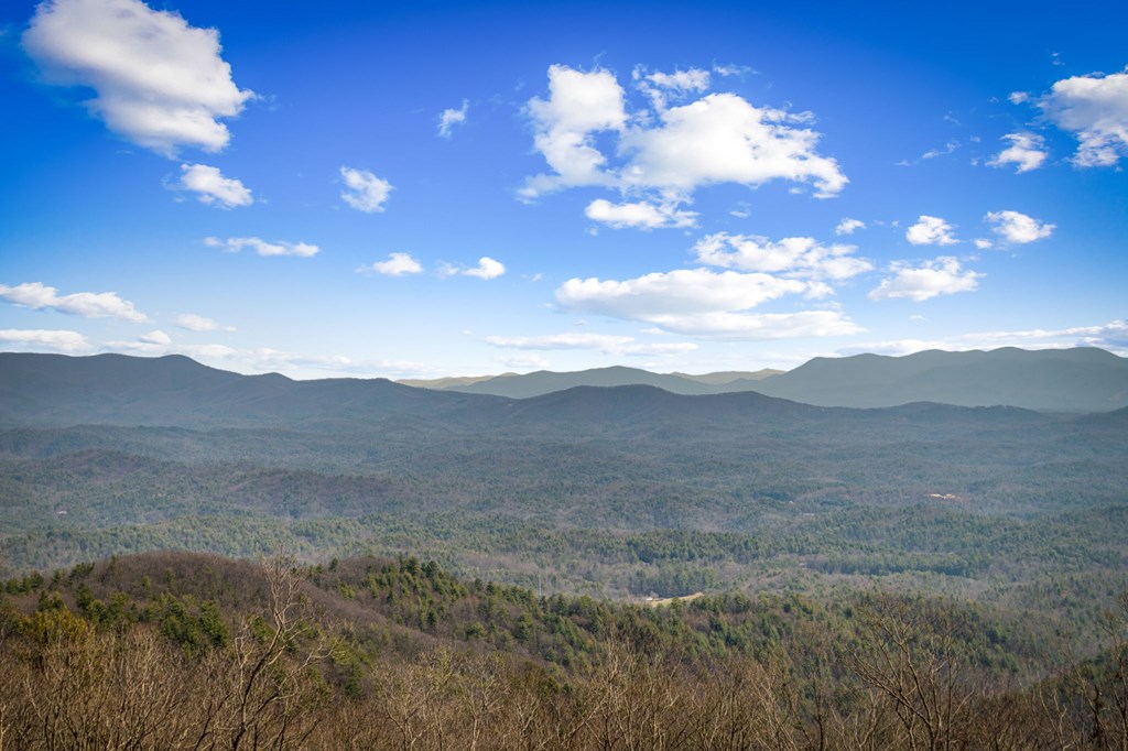 17 Pinhoti Trail Ellijay, GA 30540 - Photo 3 of 37