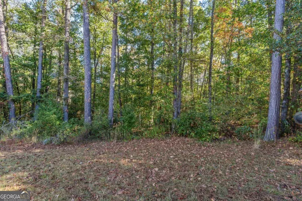 a view of a forest with trees in the background