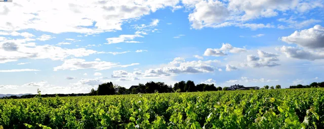 a front view of a house with outdoor seating