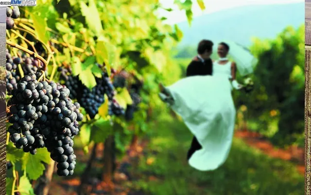 $12,800,000 | Contra Costa County, Brentwood, CA 94513