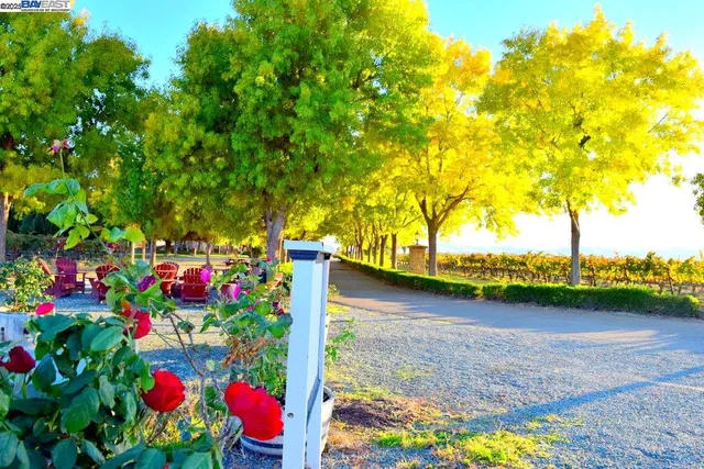 a view of swimming pool with a yard
