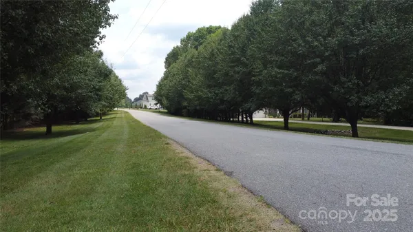 a view of road with grass and trees