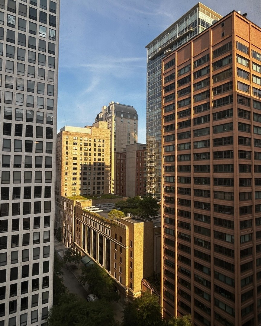 860 North Dewitt Place, Unit 1501 Chicago, IL 60611 - Photo 8 of 17 a view of a blue building