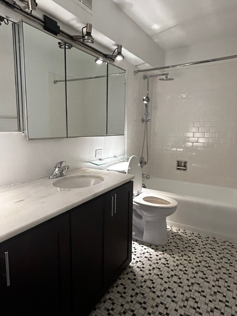 860 North Dewitt Place, Unit 1501 Chicago, IL 60611 - Photo 10 of 17 a bathroom with a sink toilet a shower and a mirror