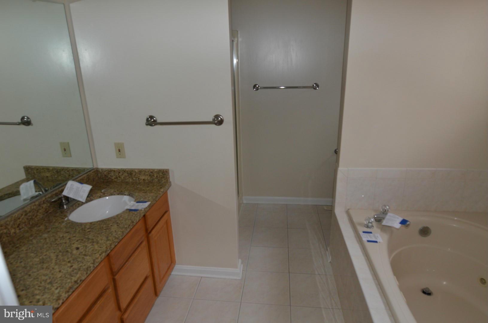 217 Monument Road Locust Grove, VA 22508 - Photo 11 of 15 Bath (Master)