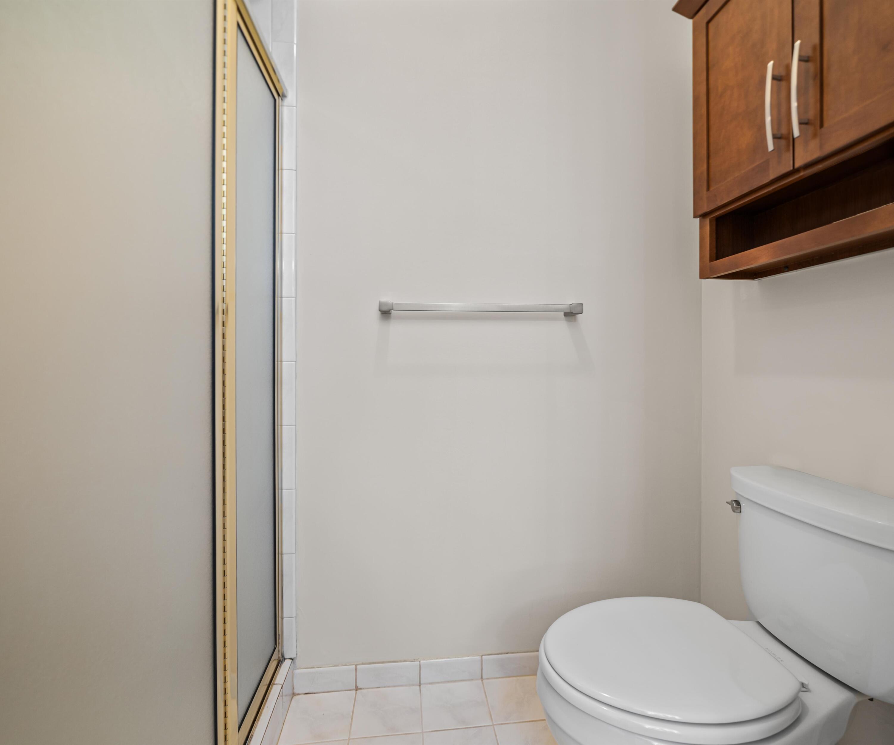 64 Chestnut Court Chelsea, MI 48118 - Photo 38 of 70 Interior (31 of 42)