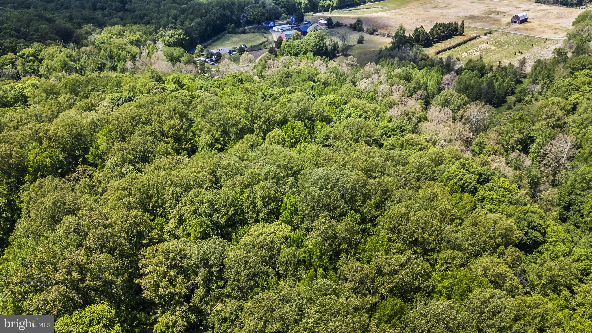 15690 Nelson Perrie Road Brandywine, MD 20613 - Photo 4 of 19 a view of a house with a lush green forest
