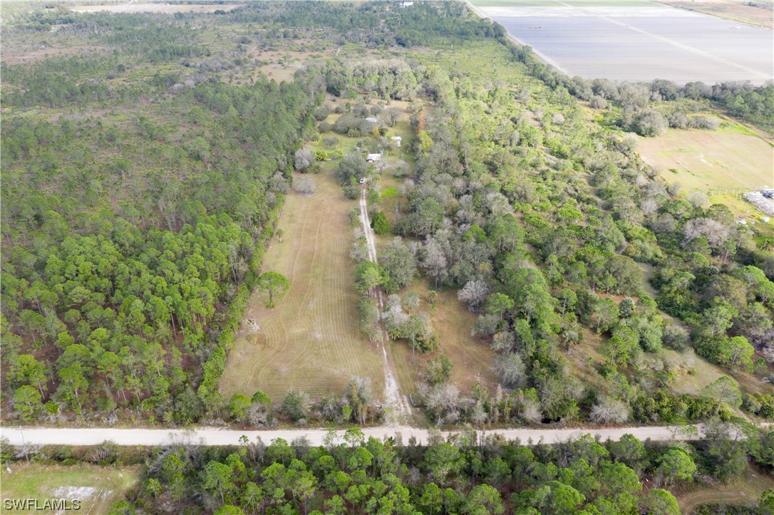 47710 Bermont Road Punta Gorda, FL 33982 - Photo 3 of 40 a view of a yard with large trees