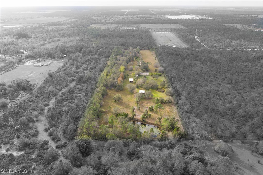 47710 Bermont Road Punta Gorda, FL 33982 - Photo 39 of 40 a view of a yard