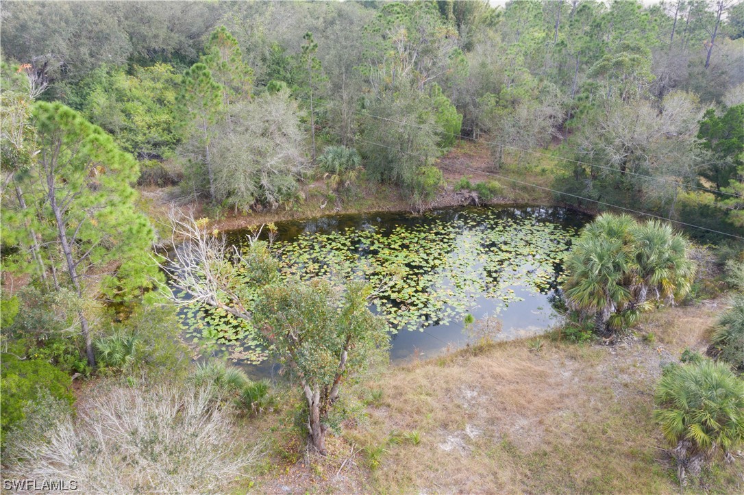 47710 Bermont Road Punta Gorda, FL 33982 - Photo 9 of 40 a view of a yard with plants and a bench