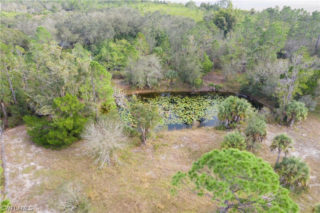 47710 Bermont Road Punta Gorda, FL 33982 - Photo 10 of 40 a view of a yard with plants