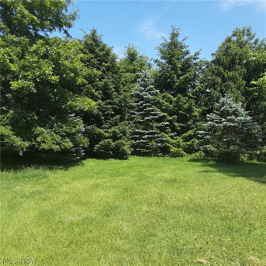 7221 Lafayette Road Medina, OH 44256 - Photo 9 of 17 Gallery Image 9
