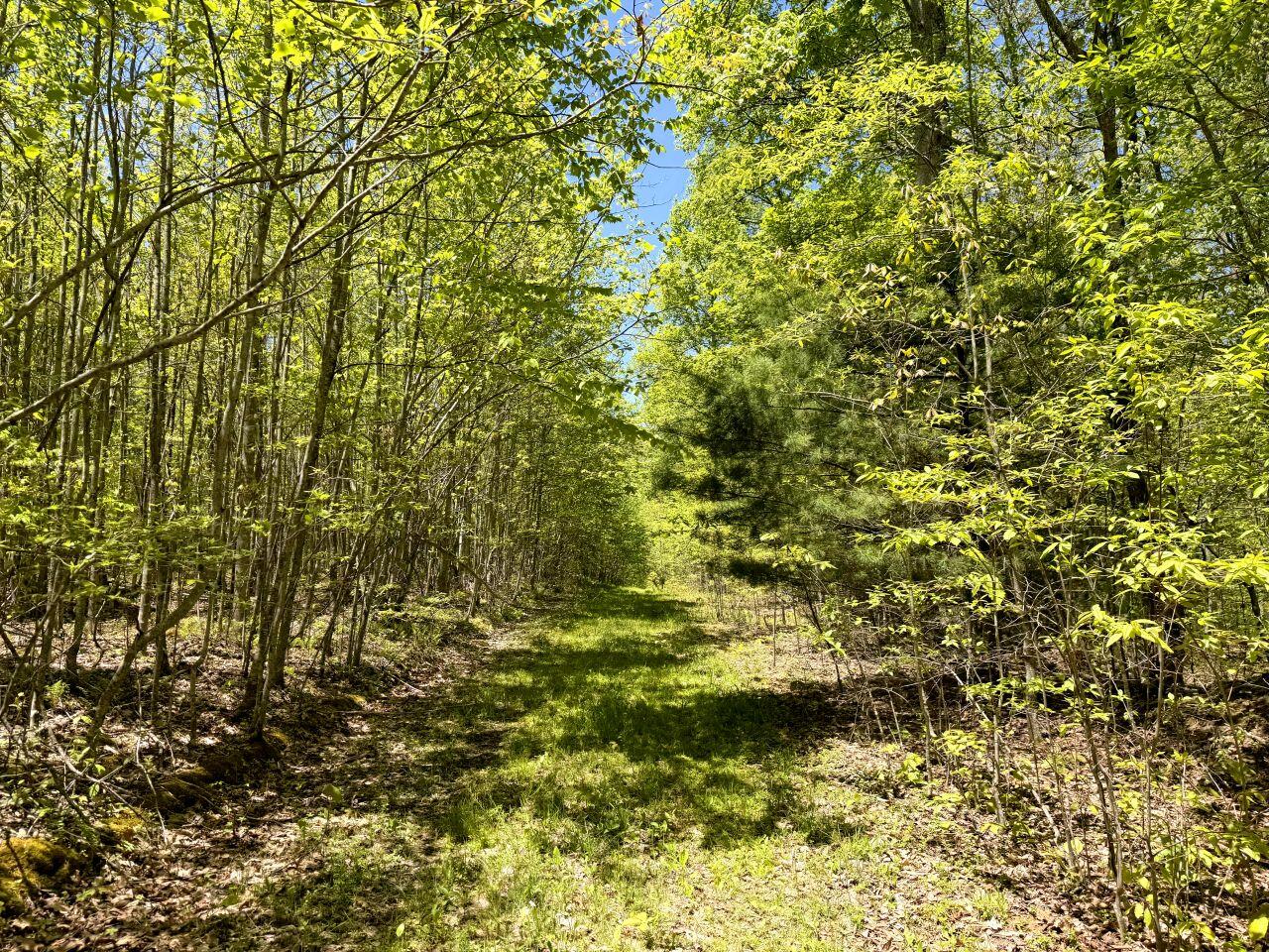 0 Iona Road White Oak, WV 25989 - Photo 145 of 150 Tract-17-IMG_4537