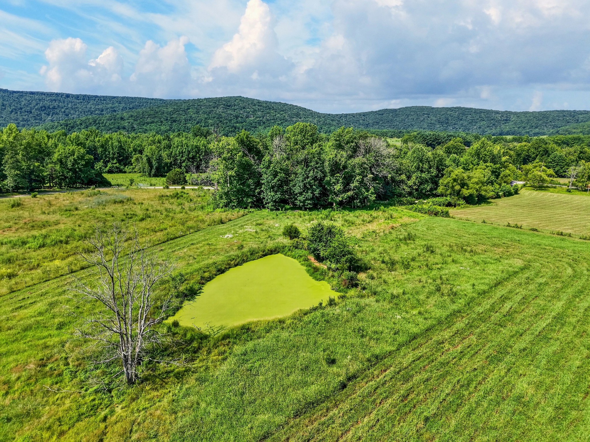 1377 Chestnut Grove Road Morrison, TN 37357 - Photo 10 of 67