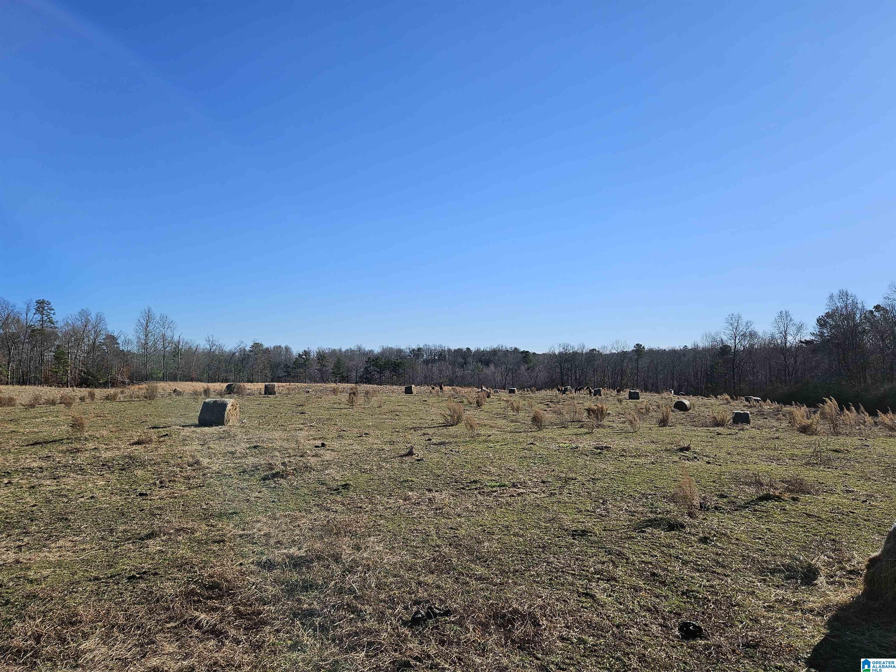 682 County Road 832 Logan, AL 35098 - Photo 42 of 48