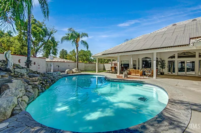 a view of a backyard with plants and a large tree