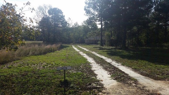26176 Antioch Road Andalusia, AL 36421 - Photo 3 of 16 Gallery Image 3