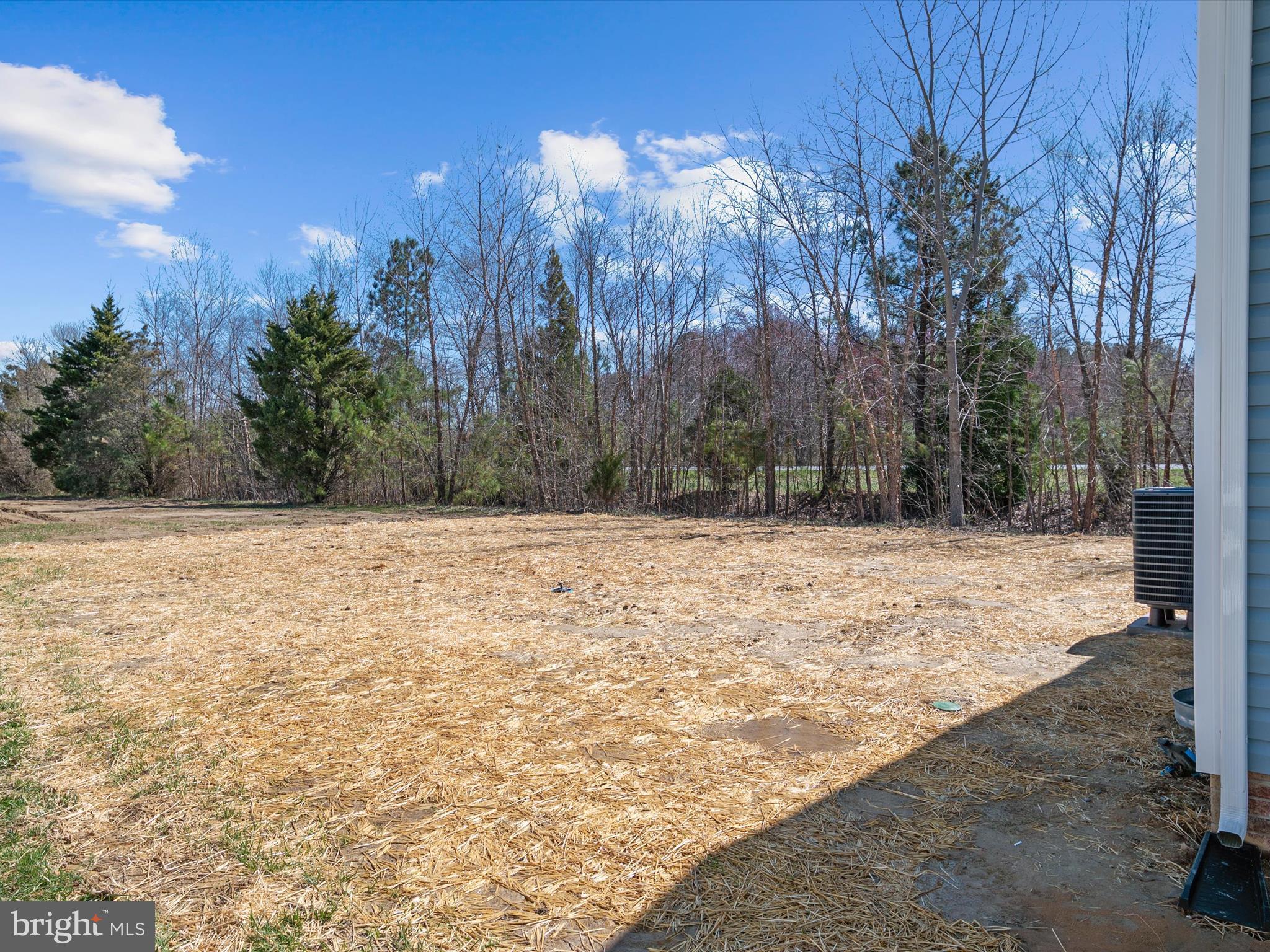12 Sunrise Avenue Ridgely, MD 21660 - Photo 29 of 33 Gallery Image 29