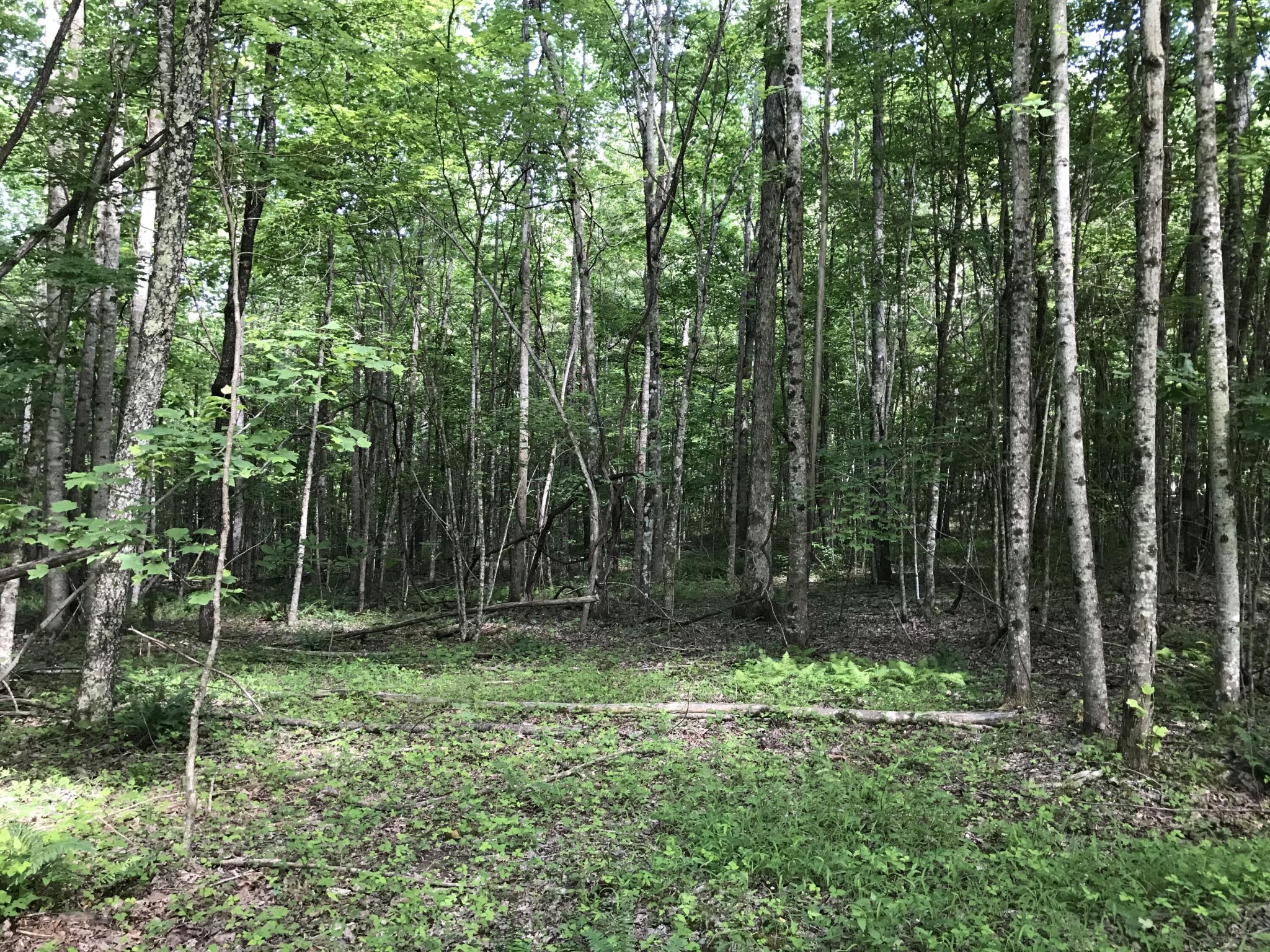 7 Hobbstown Road Dunlap, TN 37327 - Photo 1 of 24 Gallery Image 1