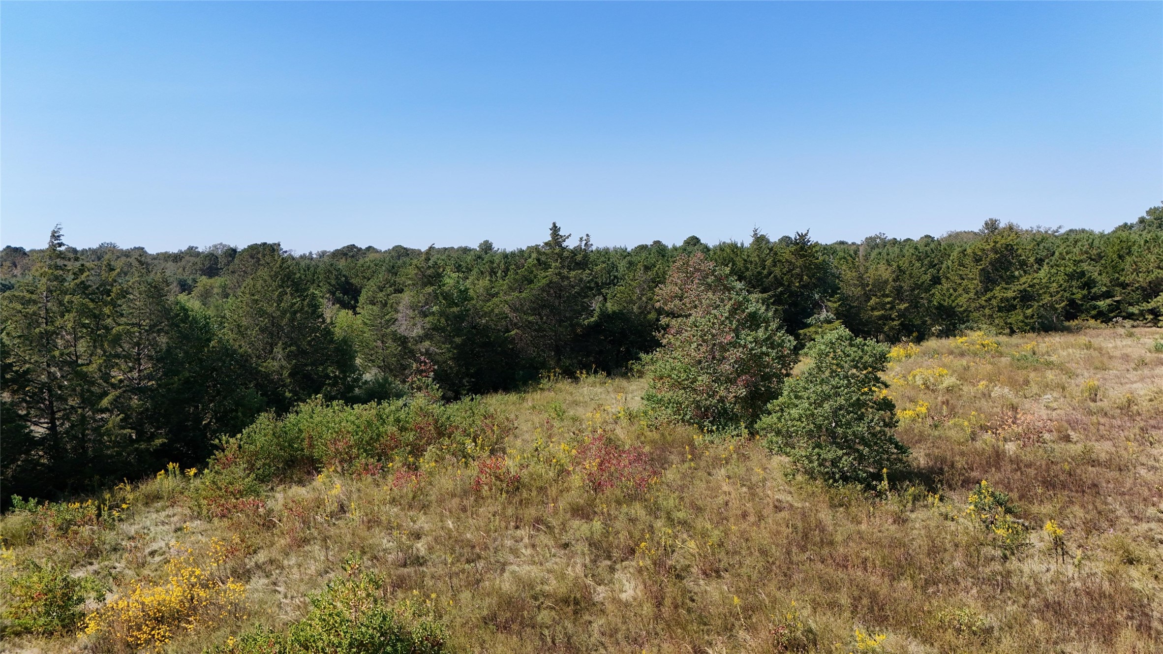 0 County Road 4694 Timpson, TX 75975 - Photo 11 of 25