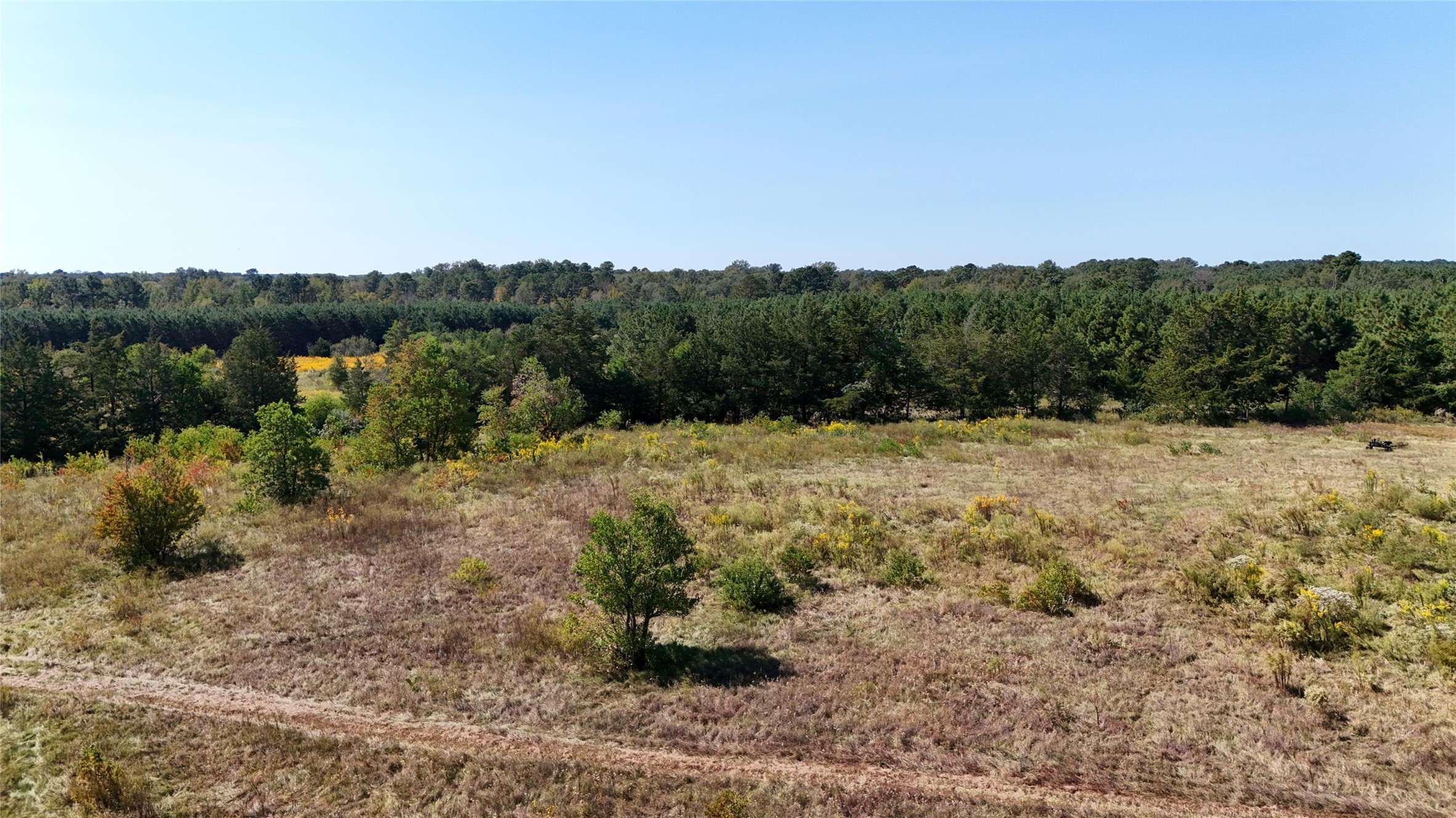 0 County Road 4694 Timpson, TX 75975 - Photo 12 of 25