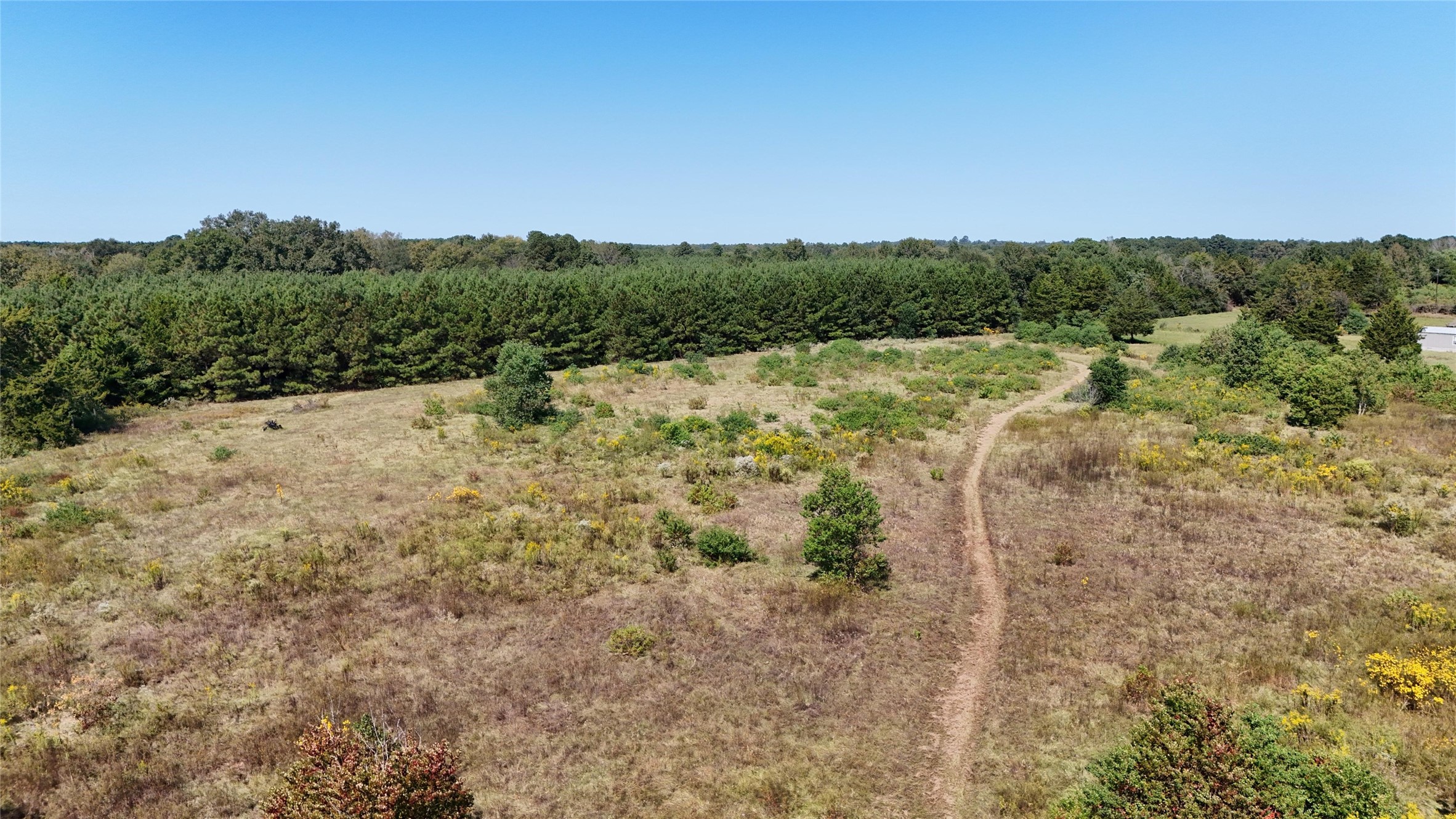 0 County Road 4694 Timpson, TX 75975 - Photo 13 of 25