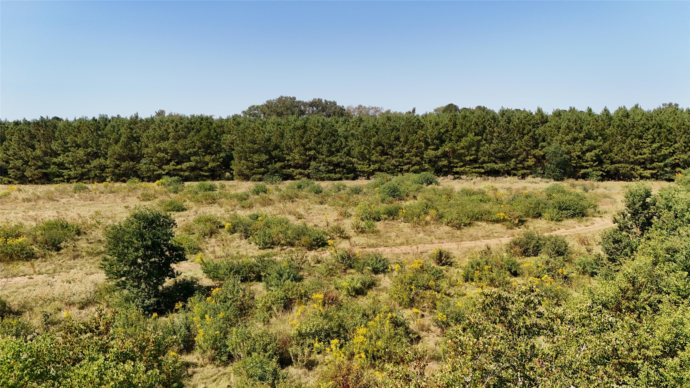 0 County Road 4694 Timpson, TX 75975 - Photo 14 of 25