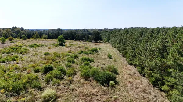 $49,900 | 0 County Road 4694, Timpson, TX 75975
