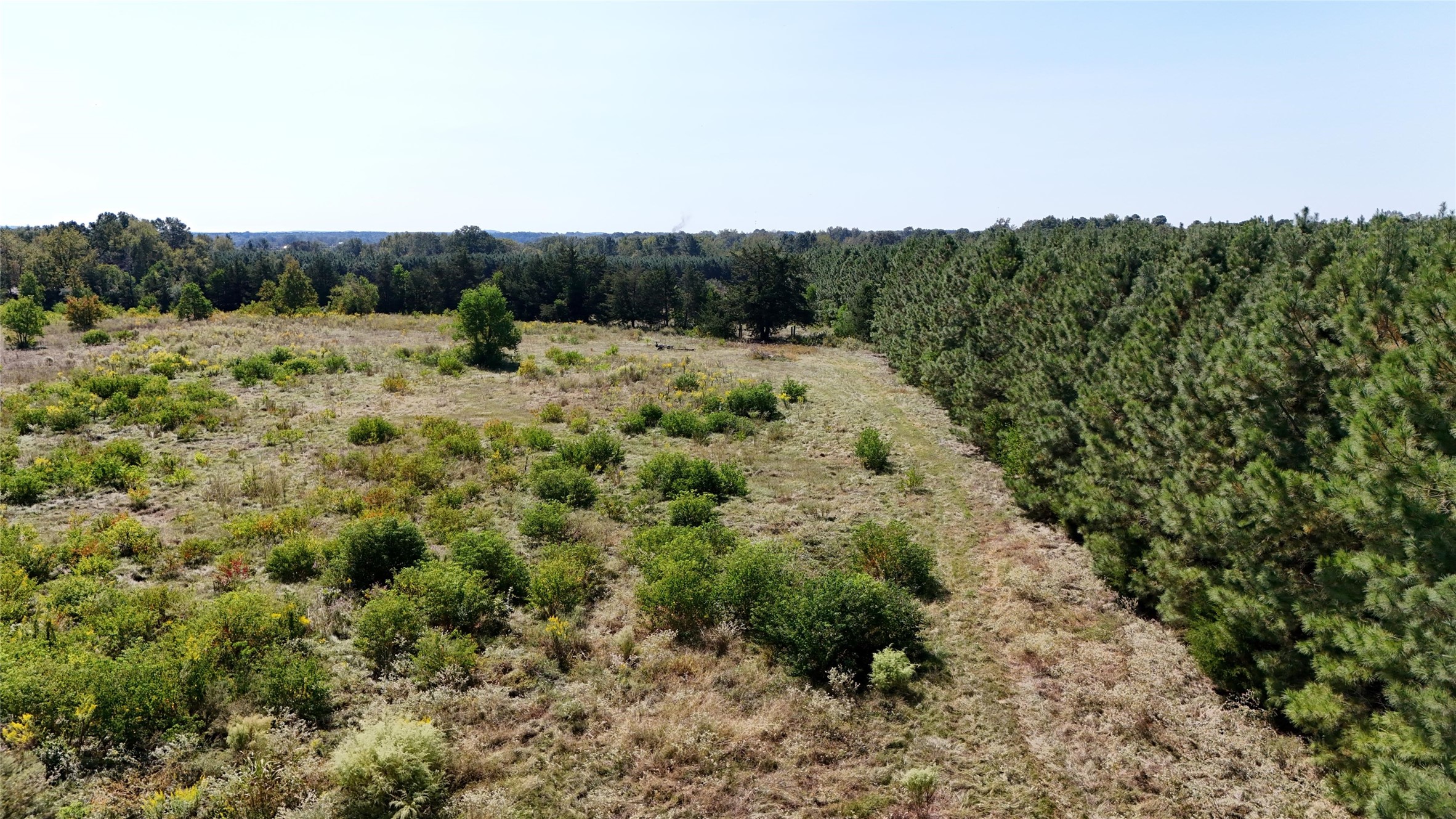 0 County Road 4694 Timpson, TX 75975 - Photo 15 of 25